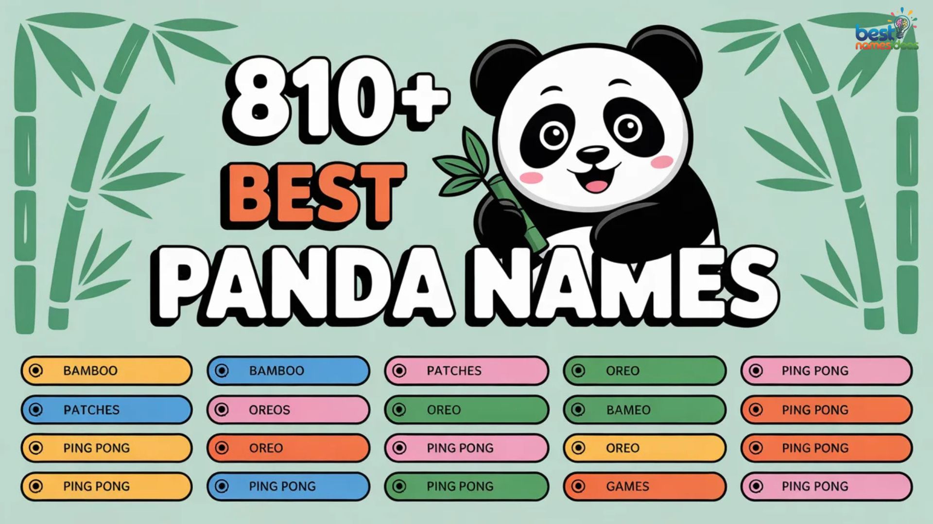 810+ Best Panda Names