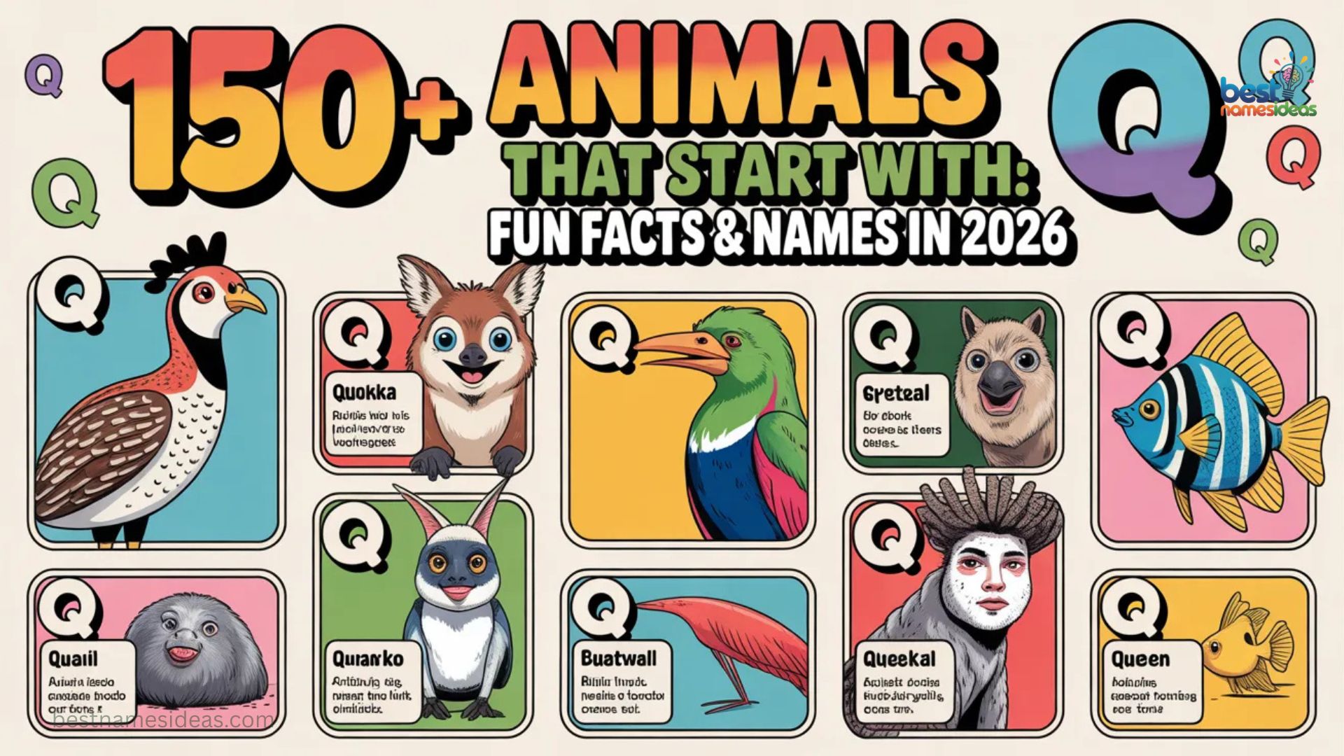 150+ Animals That Start With Q Fun Facts & Names In 2026