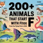 200+ Animals That Start With F From Fox to Flying Fish In 2026