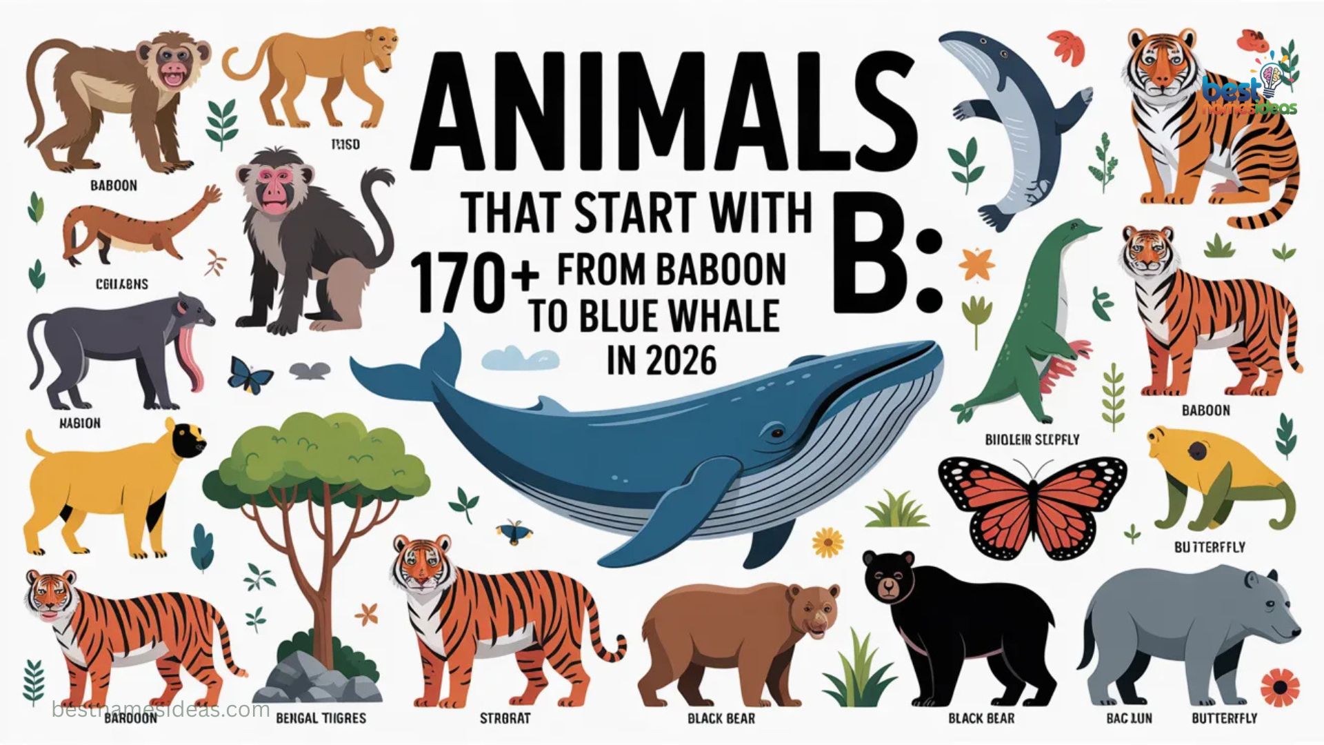 Animals That Start With B 170+ From Baboon to Blue Whale In 2026