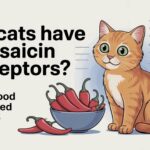 Do Cats Have Capsaicin Receptors Spicy Food Explained In 2026
