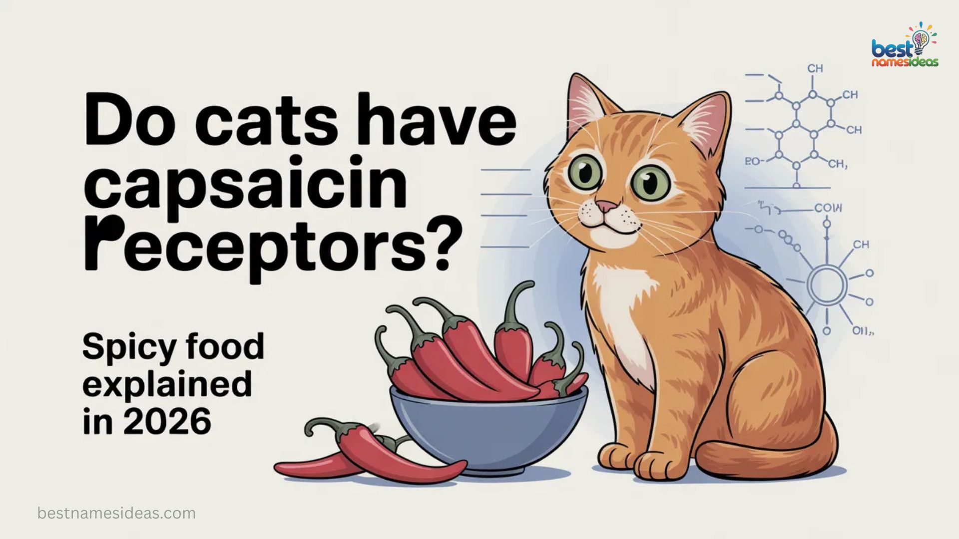 Do Cats Have Capsaicin Receptors Spicy Food Explained In 2026