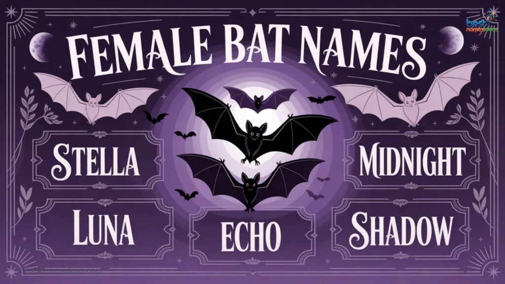 Female Bat Names