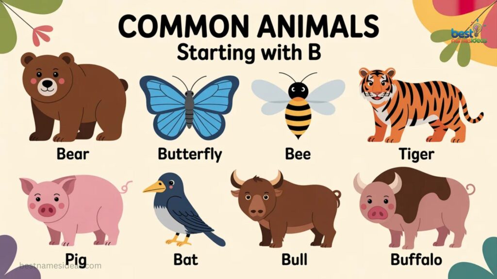 List of Common Animals Starting with B