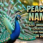 Peacock Names 420+ Unique, Funny, Cute & Creative Ideas for Your Bird In 2026