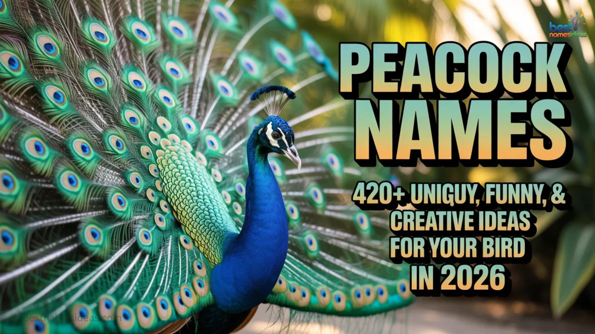 Peacock Names 420+ Unique, Funny, Cute & Creative Ideas for Your Bird In 2026