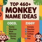 Top 460+ Monkey Name Ideas
