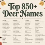 Top 850+ Deer Names